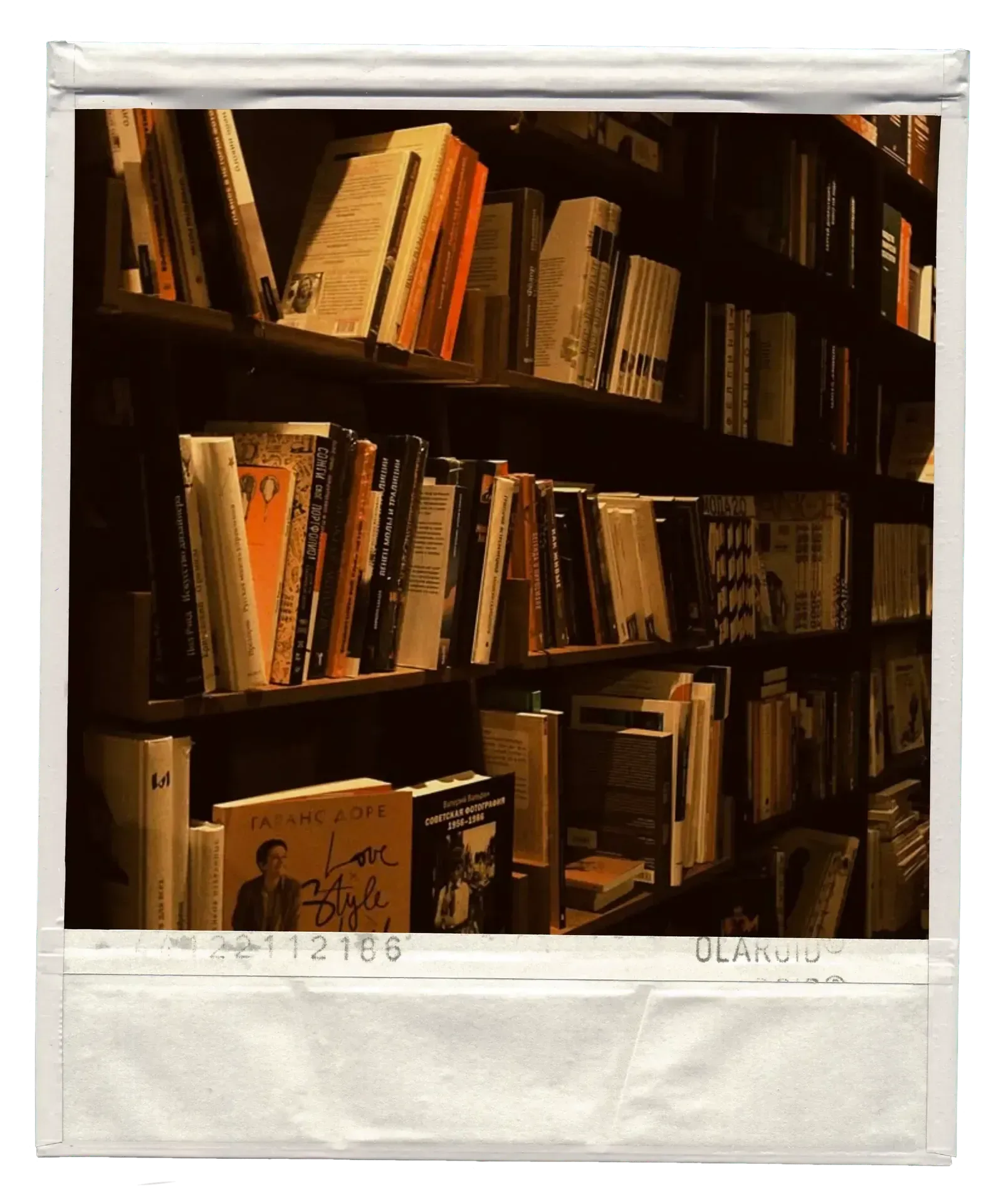 Polaroid 1